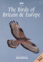 DVD guide to birds