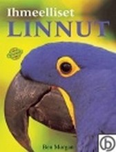 Ihmeelliset linnut