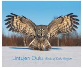 Lintujen Oulu