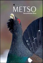 Metso havumetsien lintu