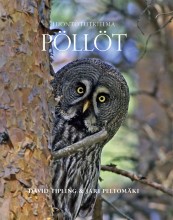 Pöllöt luontotutkielma