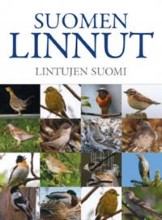 Suomen linnut lintujen suomi